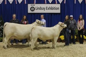 crg-barely-legal-69b-web