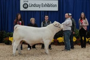 sharodon-double-vision-1d-web